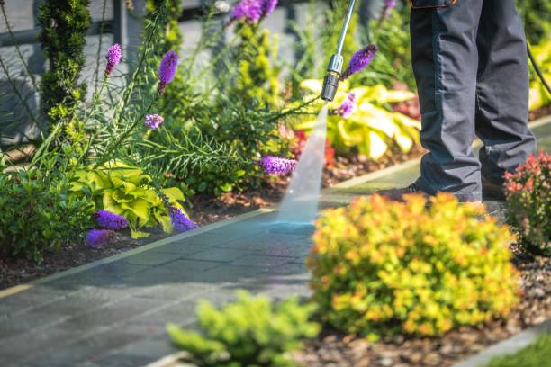 Best Restaurant Pressure Washing  in Starbuck, MN